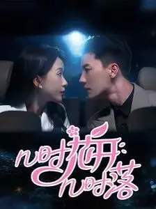 《几时花开几时落》：一场关于爱与错过的凄美华章，在时光的洪流中轻声叹息