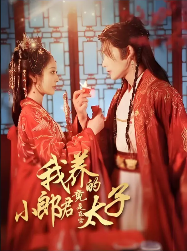 《我养的小郎君竟是东宫太子（卿与天争娇）》：古风甜宠的清流！穿越小娇妻与隐太子养成记，笑中带糖，甜而不腻